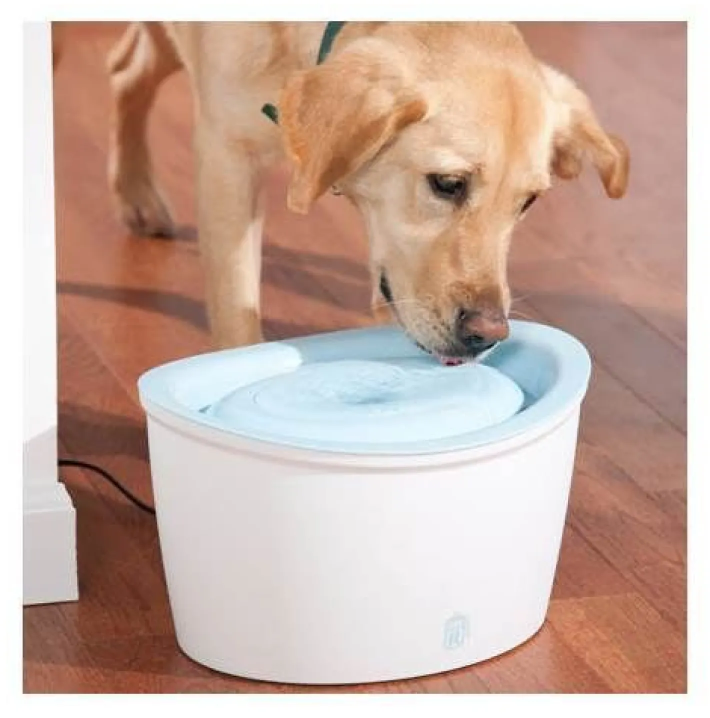 Dogit Zeus H2Eau ( Fresh & Clear) Pet Water Fountain for Cats & Dogs - 6 litres Fashion