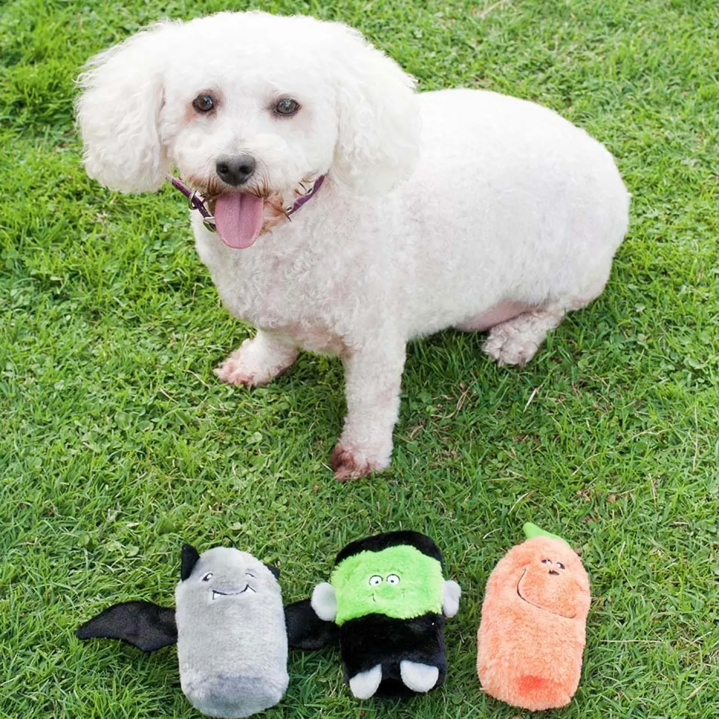 Zippy Paws Halloween Squeakie Buddie Dog Toys 3-pack - Frankenstein, Pumpkin & Bat Sale