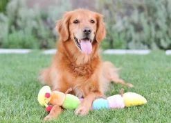 Zippy Paws Long Caterpillar 6 Squeakers Plush No Stuffing Dog Toy Fashion