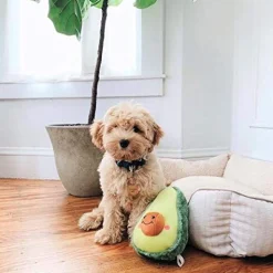 Zippy Paws NomNomz Squeaker Dog Toy - Jumbo Avocado Discount