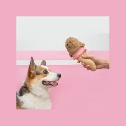 Zippy Paws NomNomz Squeaker Dog Toy - Ice Cream Online