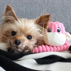 Zippy Paws Spencer the Crinkle Monkey Long Leg Plush Dog Toy Outlet