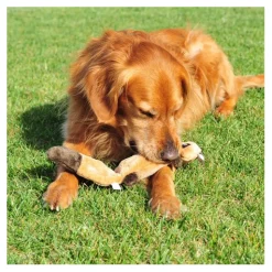 Zippy Paws Stuffing Free Squeaker Dog Toy - Zingy Raccoon Fashion