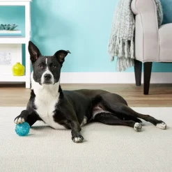 Zippy Paws ZippyTuff Textured Rubber Squeaker Ball Dog Toy New